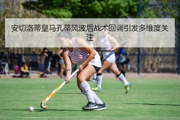 an-qie-luo-di-huang-ma-kong-di-feng-bo-hou-zhan-shu-hui-diao-yin-fa-duo-wei-du-guan-zhu-2-765.jpg